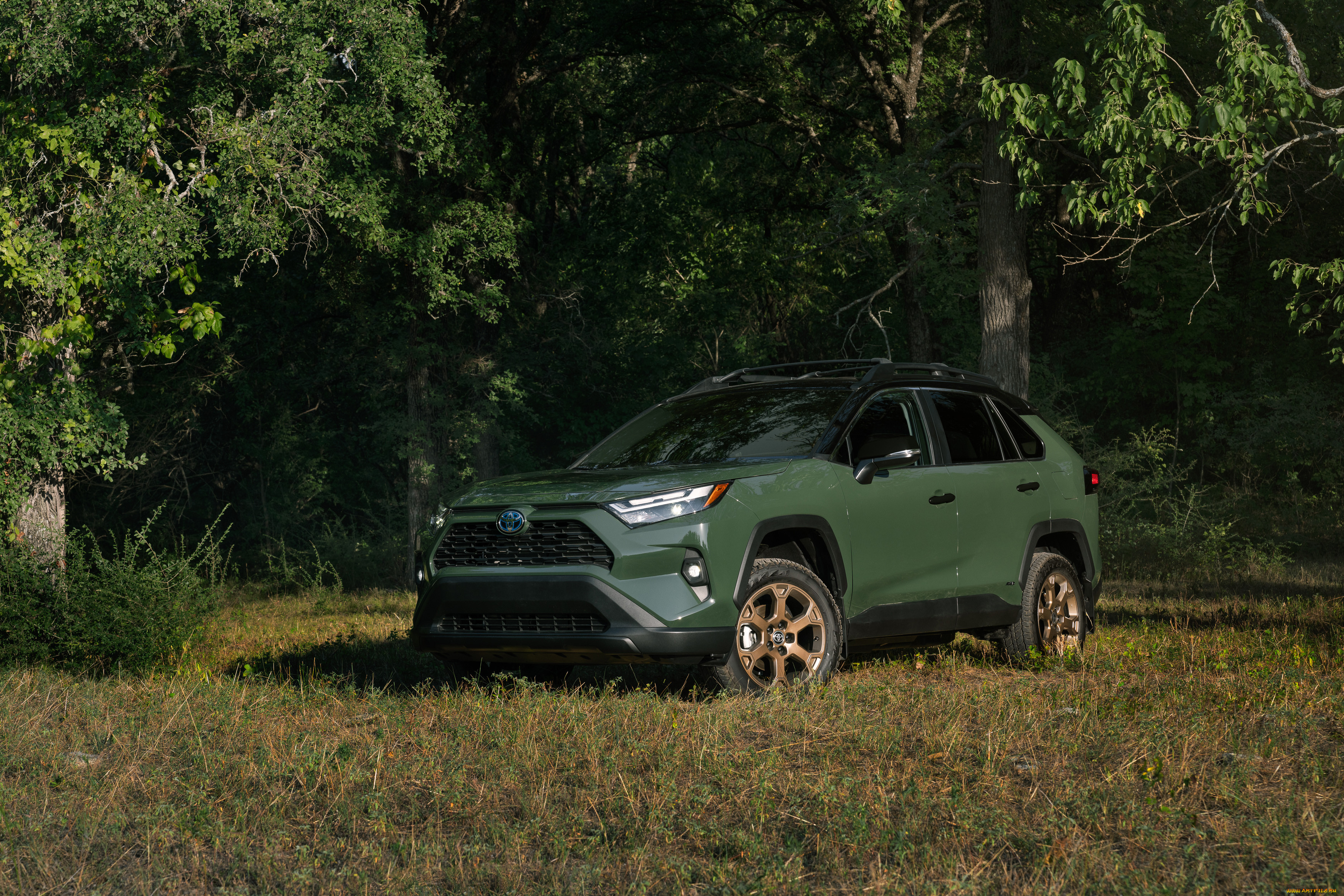 , toyota